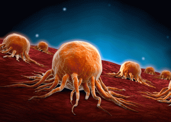 تطوير بكتيريا "مبرمجة" قادرة على تدمير الخلايا السرطانية 1