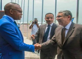 سفير مصر : زيارة وزير الكهرباء إلى الكونغو حظيت باهتمام كبير 5