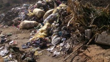 القمامة بقرية دمشير فى المنيا