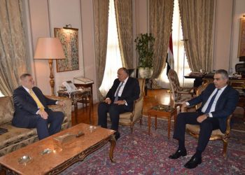 وزير الخارجية يبحث مع المنسق الأممي الخاص للبنان آخر المستجدات 1