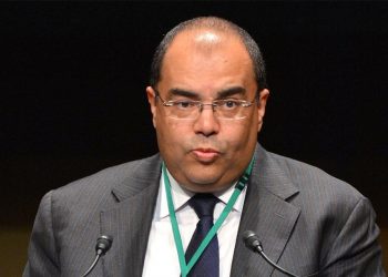 محمود محي الدين