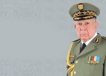 رئيس أركان الجزائر