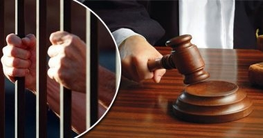 حبس 9 متهمين 15 يوما بنشر أخبار كاذبة وبيانات محرضة ضد الدولة 1