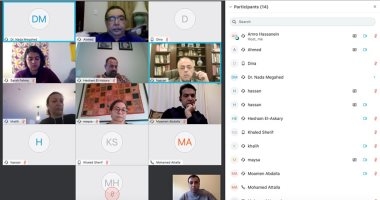 خبراء مصر بالخارج يجتمعون باستخدام تقنية "الفيديوكونفرنس"