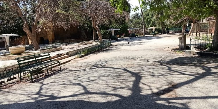 بالصور..حديقة حيوان الإسكندرية بدون زائرين 1