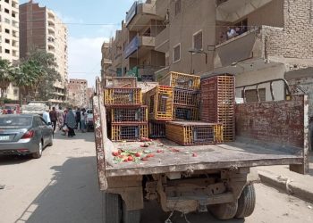 فض الأسواق بالقاهرة