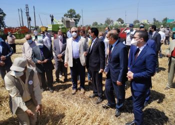وزير الزراعة يشهد حصاد القمح في كفر الشيخ ويتفقد مزرعة معهد بحوث الانتاج الحيواني 2