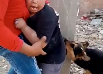بالفيديو والصور.. 3 شباب يعتدون على معاق ذهنيا باستخدام كلب 1