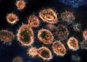 العلماء يكتشفون طريقة مفاجئة لانتقال الفيروس التاجي 1