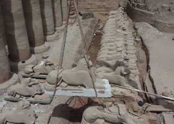 ترميم تماثيل الكباش الموجودة خلف الصرح الأول بمعبد الكرنك بمدينة الأقصر "صور" 1