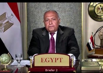 نفرتيتي.. تمثال حاكمة النيل يحضر اجتماع مجلس الأمن بشأن سد النهضة 2
