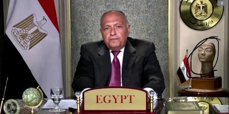 نفرتيتي.. تمثال حاكمة النيل يحضر اجتماع مجلس الأمن بشأن سد النهضة 1