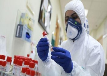 الجزائر تسجل 593إصابة بفيروس كورونا 2
