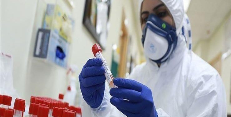 الجزائر تسجل 593إصابة بفيروس كورونا 1