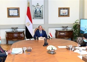 وزير الخارجية: إثيوبيا تعاهدت بعدم ملء سد النهضة إلى بعد التوصل لاتفاق مع مصر 3