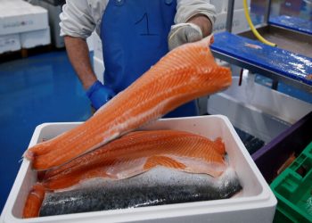 النرويج تبرىء سمك السلمون من عودة ظهور كورونا في الصين 2