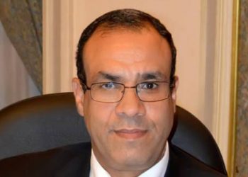 الدكتور بدر عبد العاطي - مساعد وزير الخارجية