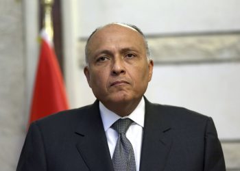 سامح شكري - وزير الخارجية المصرية