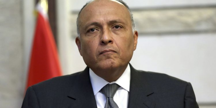 سامح شكري - وزير الخارجية المصرية