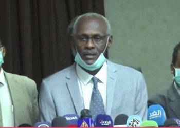 وزير الري السوداني وتطورات سد النهضة