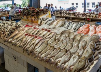 انخفاض اسعار السمك في منافذ المجمعات الاستهلاكية بنسبة 25% 4