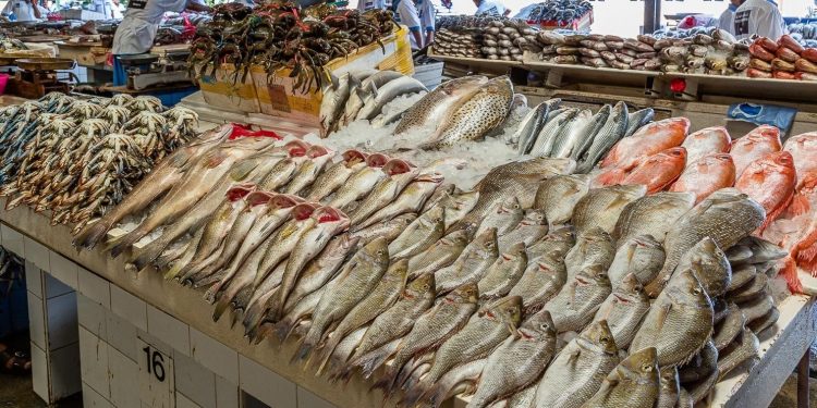 انخفاض اسعار السمك في منافذ المجمعات الاستهلاكية بنسبة 25% 1