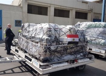 السيسي يأمر بتوجيه مساعدات طبية للحكومة الشرعية باليمن 2
