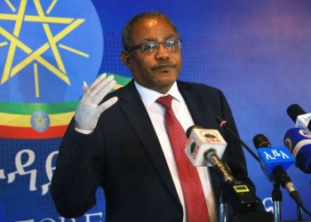 وزير خارجية إثيوبيا: مصر تبالغ في مطالبها ولن نتسبب لها بـ "العطش" 2