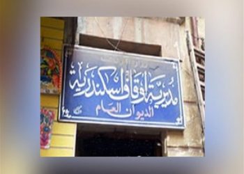 أوقاف الإسكندرية: بيع 5611 صك أضحية حتى الآن 2