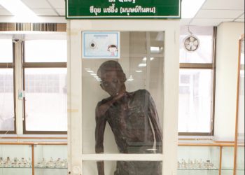 تايلاند تحرق جثة آكل للحوم البشر بعد عرضها محنطة للزوار لمدة 62 عاما 1