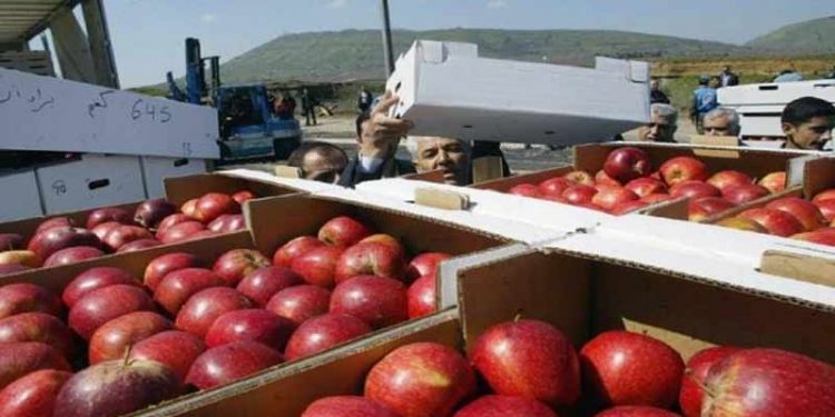 وزير المالية: نصف مليار دولار سنوياً حصيلة استيراد مصر من التفاح 1