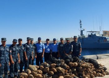 القوات البحرية - الاسطول الجنوبي