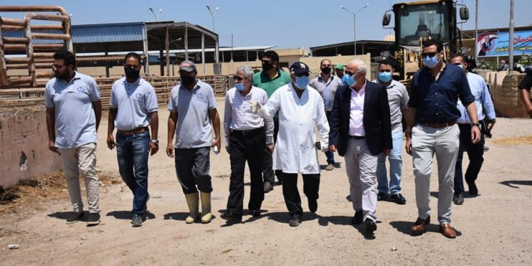 محافظ بورسعيد يتفقد محطة تسمين الماشية
