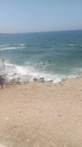مواطنون يتحدون قرارات الحكومة بالسباحة فى بحر الإسكندرية