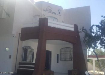 فندق لرعاية الحيوانات في تونس لأول مرة 1