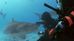 ويل سميث يتغلب على خوفه من الماء ويسبح مع أسماك القرش.. صور 2