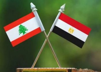 وزيرة الإعلام اللبنانية: نقدر دعم مصر.. ونحتاج للمساعدة من كل الدول الصديقة 1