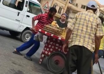 بعد فيديو عربة التين: الجزار ينهي انتداب موظفة "القاهرة الجديدة" 1