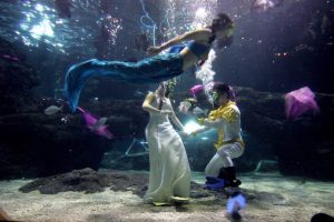 جلسات تصوير وحفلات زفاف بالكامل تحت الماء.."صور" 9