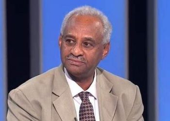 وزير الإعلام السوداني: يجب إعادة الإنتاج المشترك بين مصر والسودان 1