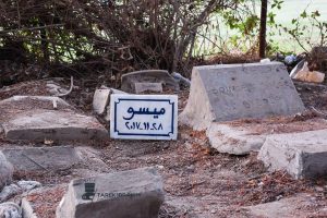 أحسنوا لرفقاءكم.. شواهد قبور وكلمات رثاء في أول مدفن للحيوانات بمصر 5