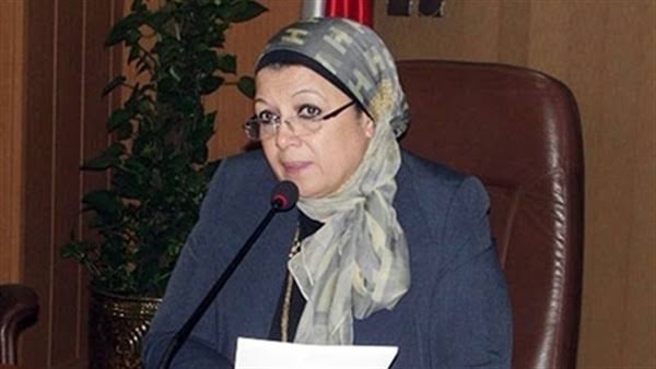 النائبة ماجدة نصر، عضو لجنة التعليم بمجلس النواب