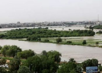 المنوفية تحذر واضعي اليد على أراضي نهر النيل من الفيضان 3