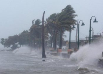 قوى الطبيعة المُخيفة.. عاصفة قوية تودي بحياة 99 شخص في جنوب شرق إفريقيا