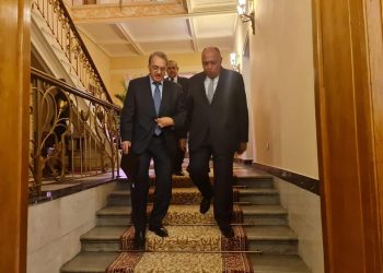 وزير الخارجية سامح شكري يستقبل نائب وزير الخارجية الروسي.. أثناء زيارته لموسكو 3