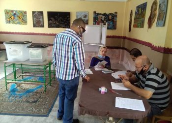 انتخابات الاسكندرية