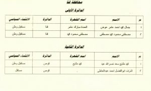 الوطنية للانتخابات تعلن أسماء الفائزين في إعادة النواب.. تعرف عليها 17