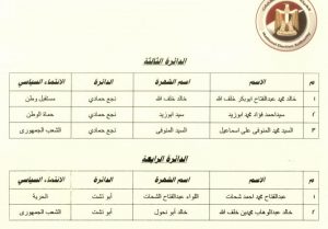 الوطنية للانتخابات تعلن أسماء الفائزين في إعادة النواب.. تعرف عليها 18