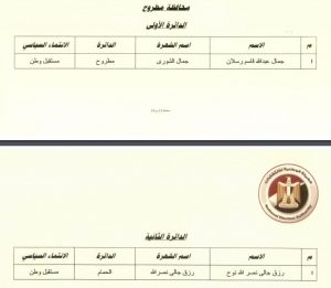 الوطنية للانتخابات تعلن أسماء الفائزين في إعادة النواب.. تعرف عليها 22