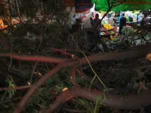 سقوط شجرة بمنطقة "فلمنج" فى الإسكندرية نتيجة الطقس السىء (صور) 2